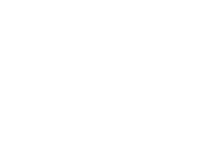 Shimano kopie